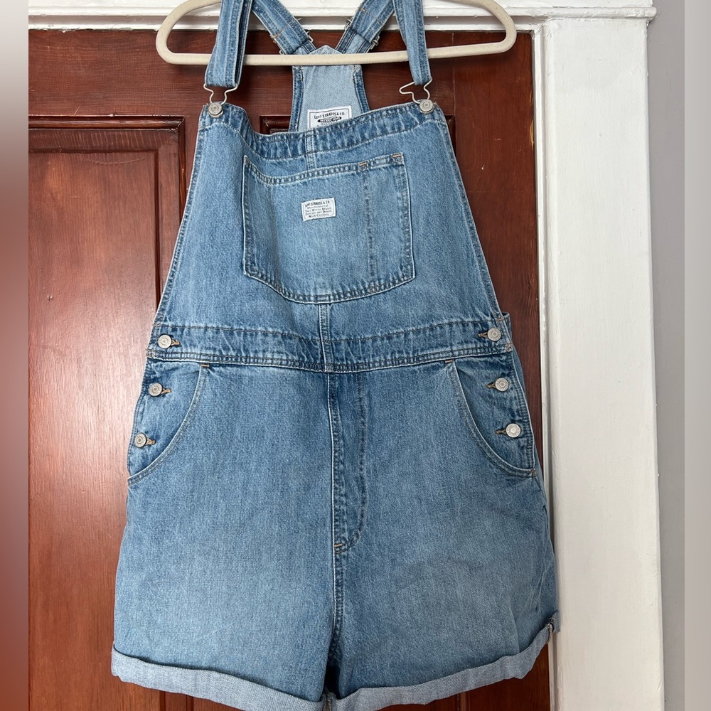 Levi Strauss & Co Oversized Overalls